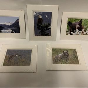 Autographed Thomas pickerel ￼ Portrait Lot